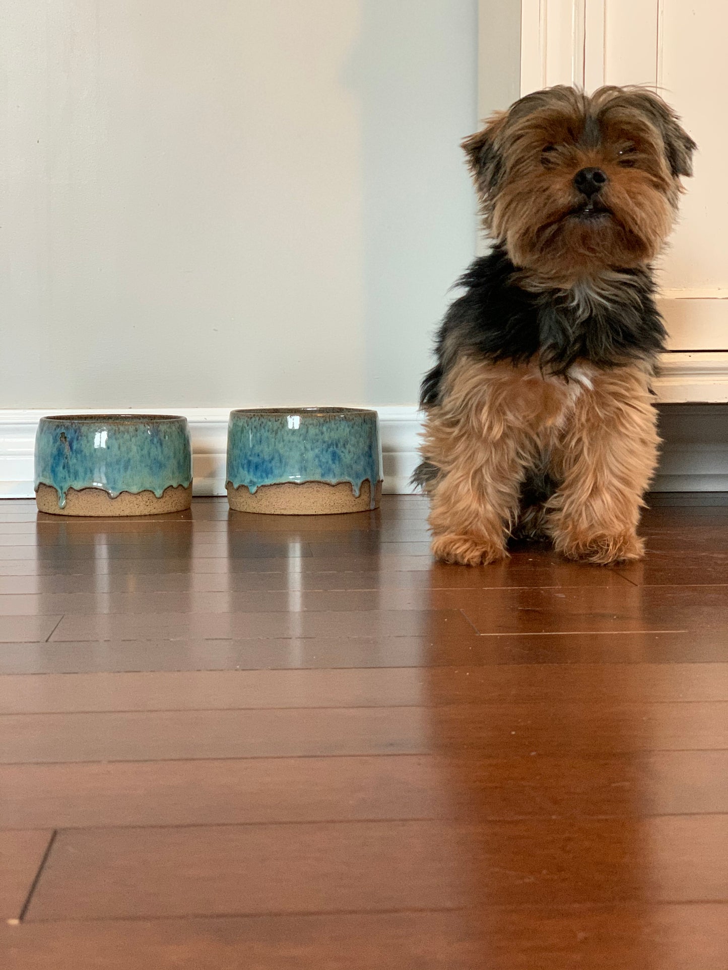 Small Dog Bowl